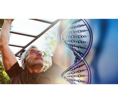 B Vitamins: More Vital Than Previously Believed